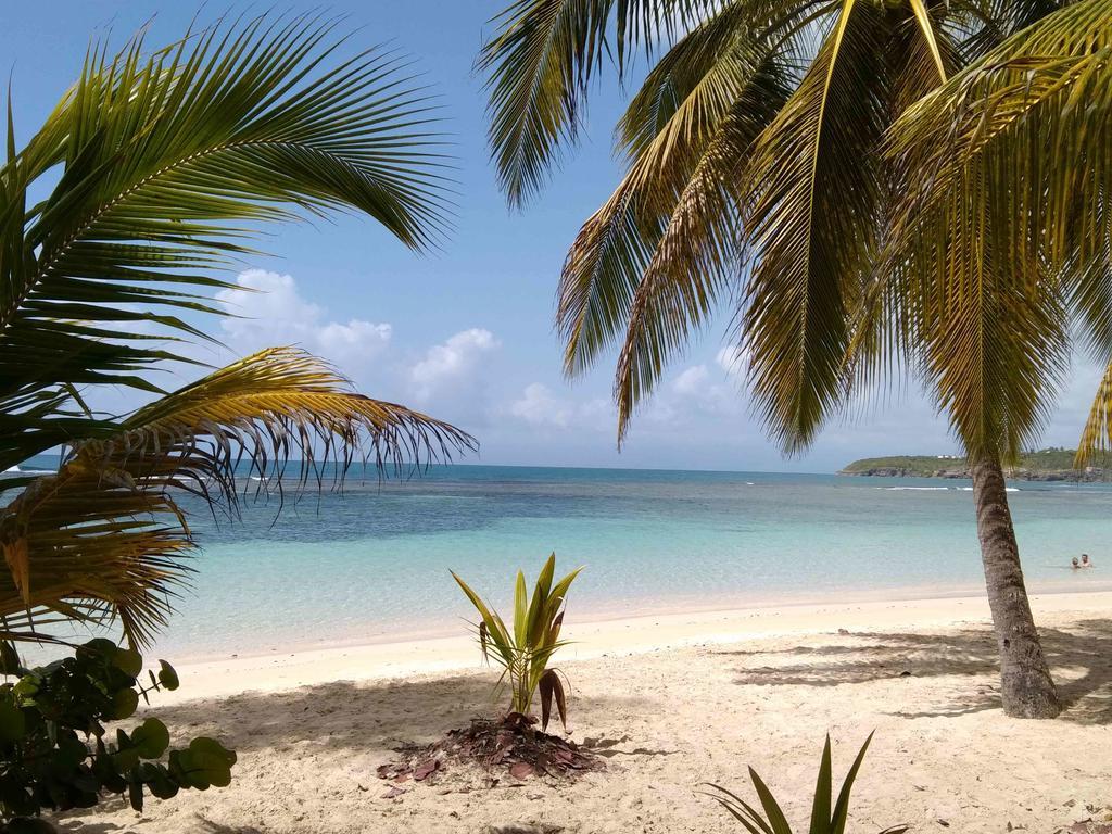 Appartements: plage&commerces à 200m Sainte-Anne  Esterno foto