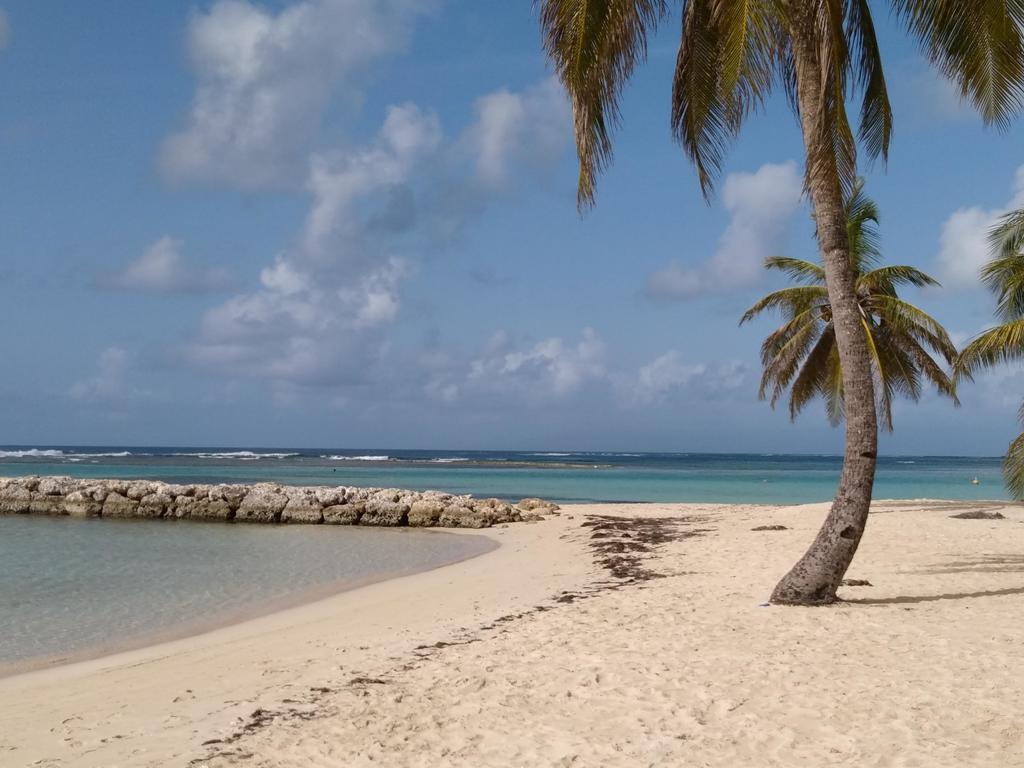 Appartements: plage&commerces à 200m Sainte-Anne  Esterno foto